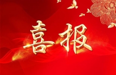 微光聚力，創效賦能：新疆有色院“五小”創新結碩果